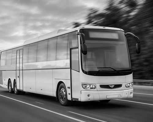 types of truck bus